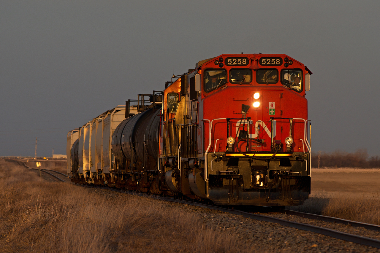 CN 556 makes its way west into the setting sun north of Pense Saskatchewan with cars for Belle Plaine and Moose Jaw.