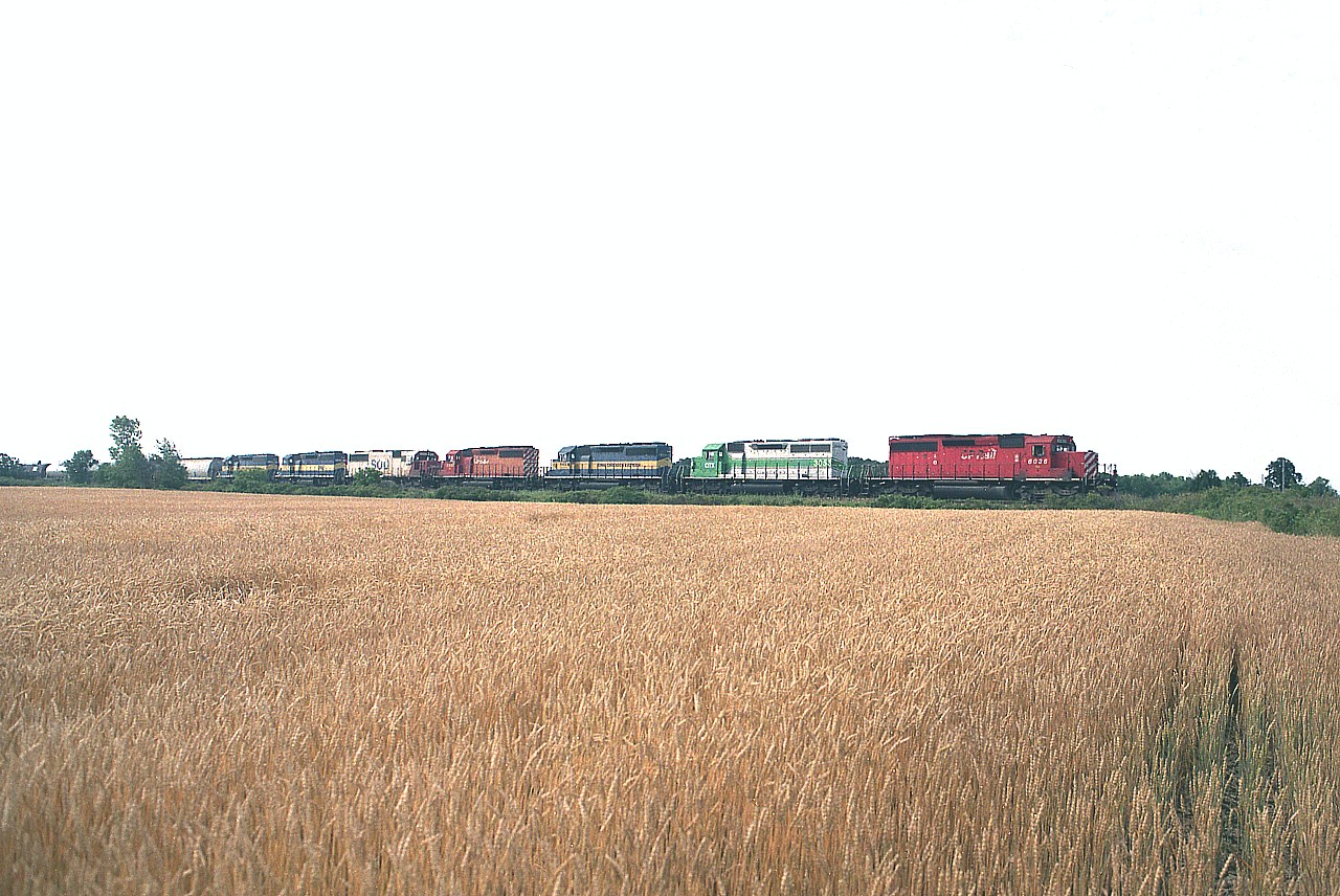 I know broad side images do not see the appreciation that the three-quarter shots do, but sometimes there isn't much of a choice.  I decided to put this one up just to show how the power combinations have gone from "wild" to "just plain GEs" in the past few years.  About to cross Grimsby Rd 10 westward is CP 6036, CITX 3053, ICE 6402, CP 5935, SOO 6022, DME 6366 and ICE 6458 on a nice bright morning.