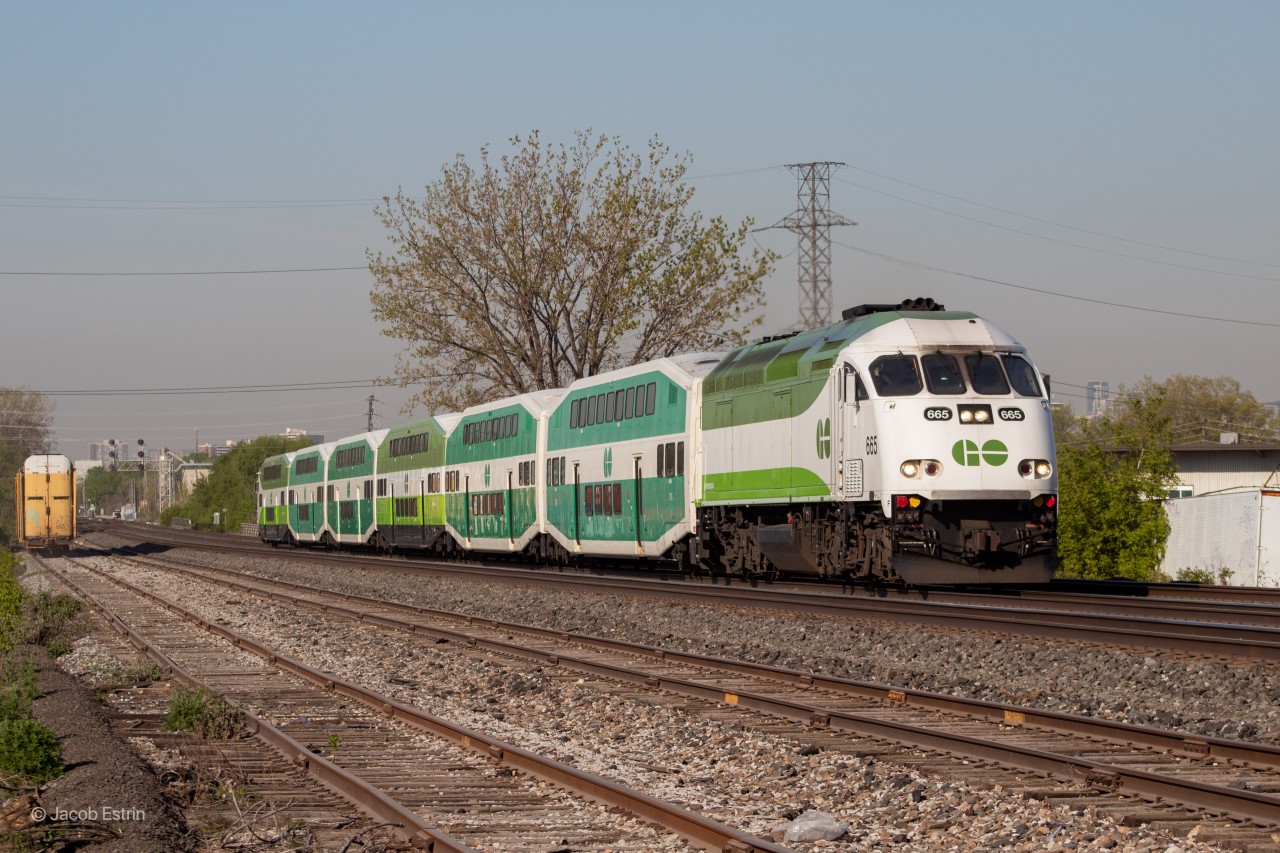 GO 665 leads an Eastbound Milton line train towards Union Station on a sunny May morning! This new Metrolinx scheme is very bright,I don't like it....