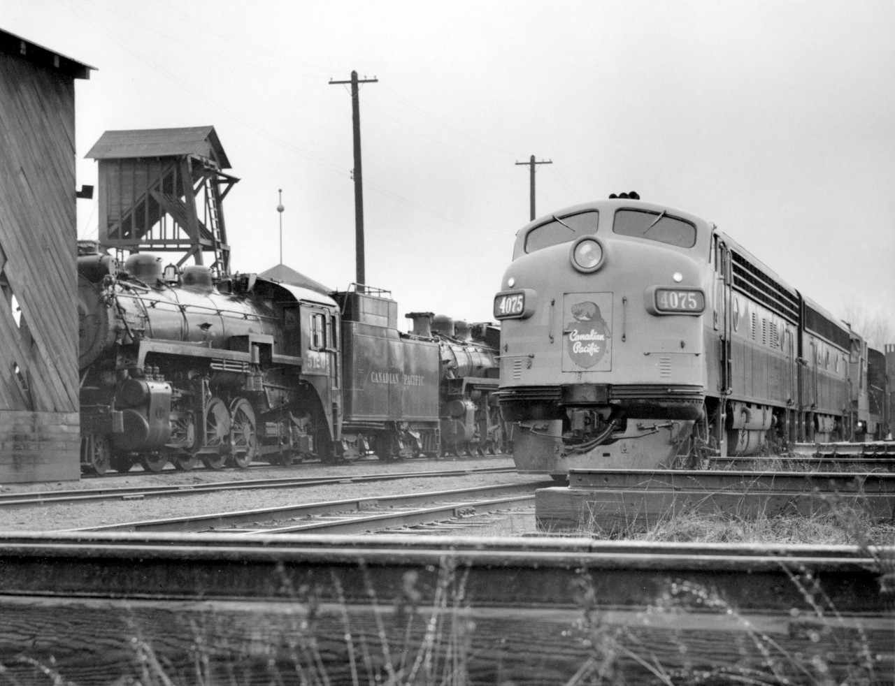 CP 5120 at left and four unit diesel combination 4075, ?, 8503 and 4035.