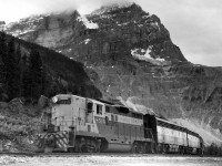 Second section of train 7 with engine 8515 at Yoho.  The road at left is part of the original 4.5% "Big Hill" grade.