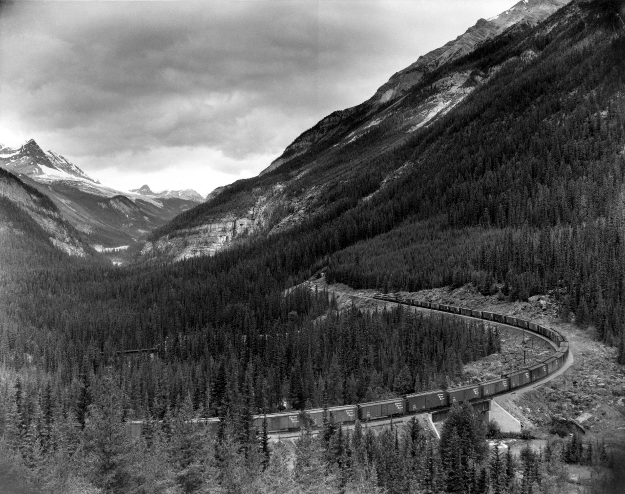Westward freight descending Field hill about to enter lower spiral tunnel with 60 cars.