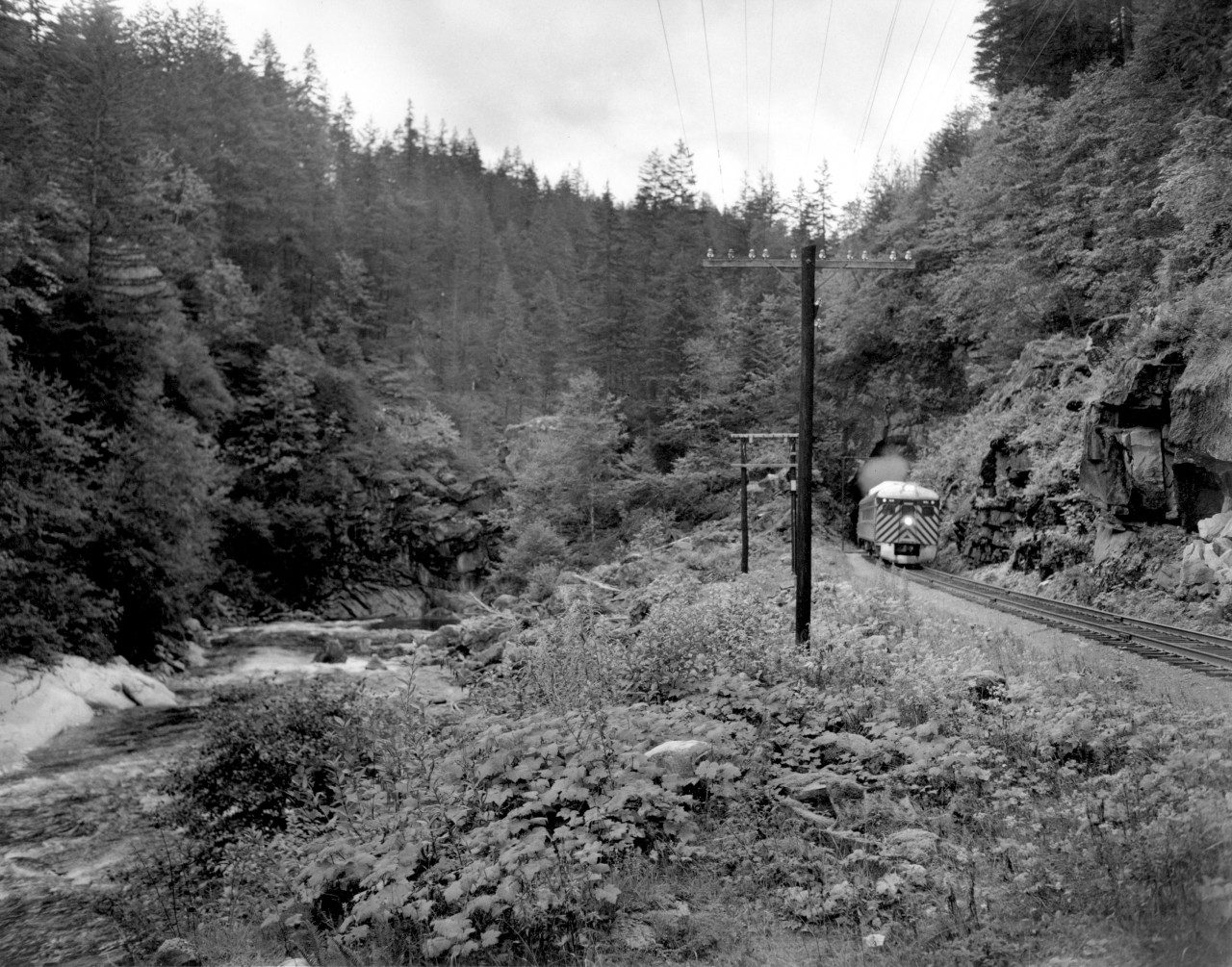 Shortly after previous photo of #46, Extra excursion train near Othello.  Train has just exited quintette tunnels (note telltale around RDC).  In about two months, the Coquihalla line would be closed by washouts.