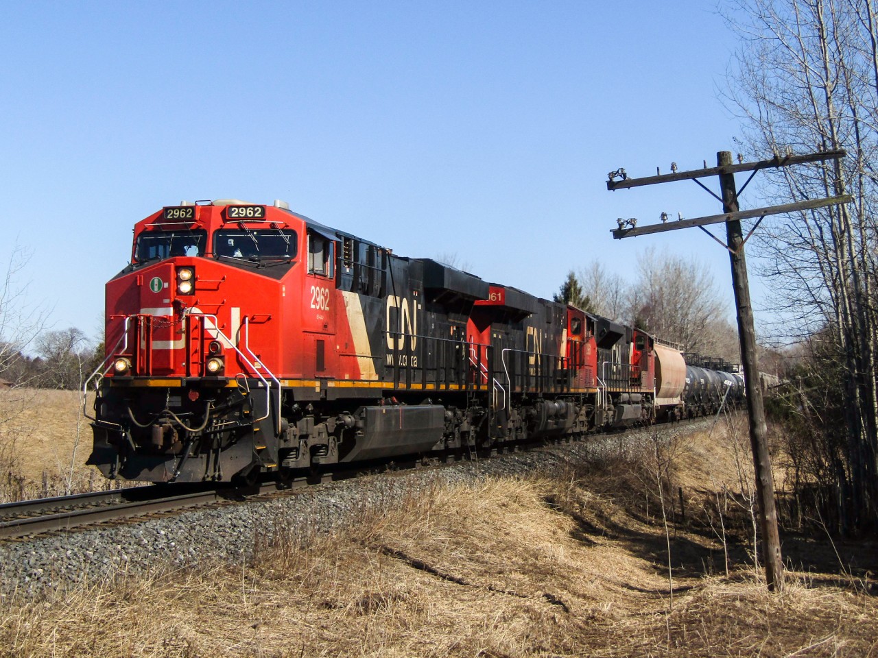 CN 314 rolls southbound through the Southern Ontario countryside with sisters CN 2962, CN 2961, and CN 8805 with just over 100 cars in tow.

I decided to frame the train with the telegraph pole as I thought it would look nice and telegraph poles are a feature that are becoming less and less common in the GTA, especially on CN. Little did I know that this would be one of the only shots I'd ever get of this pole. 

When I revisited this location in May to shoot CN 303 (link here: http://www.railpictures.ca/?attachment_id=45730), I discovered that CN had removed both the obvious telegraph pole right in the foreground and the ones further back. A little investigating found that CN has removed all (or almost all) of the telegraph poles on the Bala sub south of Brechin. This train is the only southbound I have ever shot at this location.