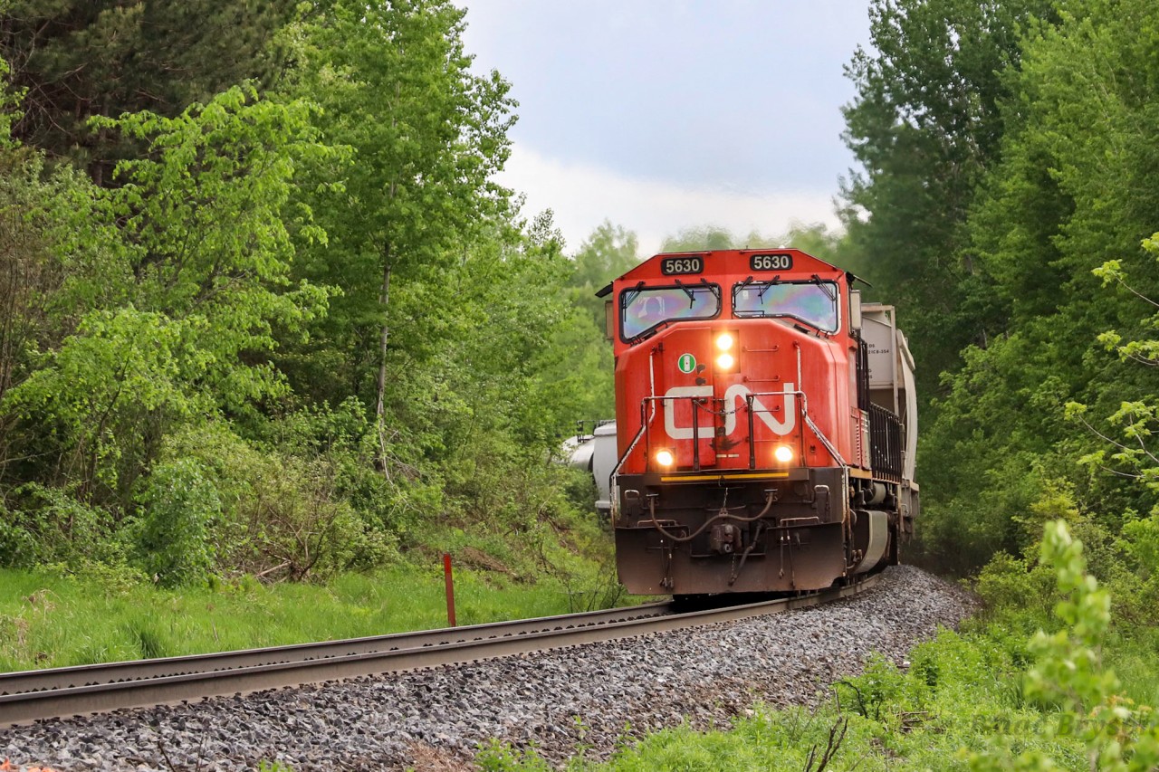 With 83 cars on the drawbar and no southbound trains for 100 miles, CN M303 wastes no time making its way out of the Greater Toronto Area and up the Bala sub. The defect detector at Mile 31 (2 miles south of me) gave them a speed of 38mph and they certainly weren't slowing down! CN 5630 leads and is solo which was a nice break from the constant that are Gevos leading on the Bala.
