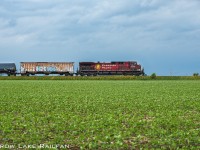 CP 650 makes good time on the Winchester Subdivision at De Beaujeu as it heads for Albany with ethanol loads.