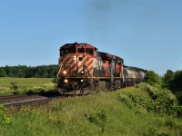 After getting used on train L502, one of the last Remaining Red, Black, and White BCOL C44-9WL's (BCOL 4642) and repainted into CN Color's (BCOL 4647) power CN M38231 12 through Mile 40 of the Halton Subdivision at Ash.