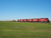 CP 3106 leads a six-pack of standard cabs southbound on the Lanigan Sub through Albatross Saskatchewan. The two SD60s were lifted at Craven to help ascend the heavy grade just south of there and will be set off in Regina.  

By the numbers; 3106,3024,3123,2289,6300,6249. 