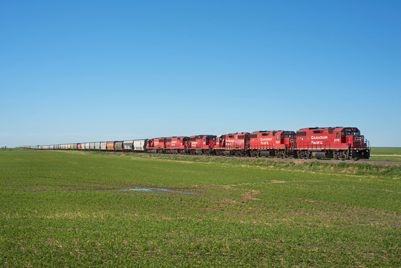 CP 3106 leads a six-pack of standard cabs southbound on the Lanigan Sub through Albatross Saskatchewan. The two SD60s were lifted at Craven to help ascend the heavy grade just south of there and will be set off in Regina.  

By the numbers; 3106,3024,3123,2289,6300,6249.