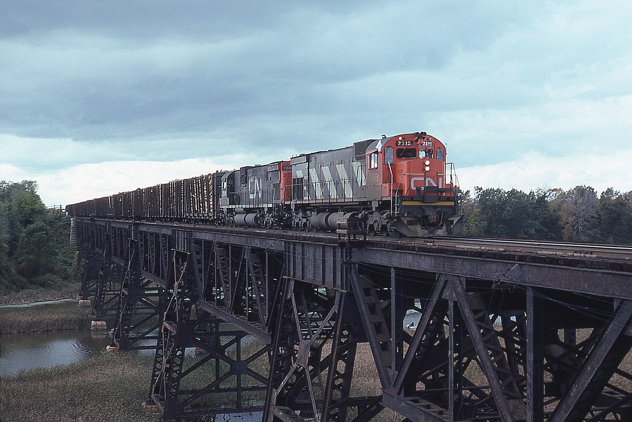 One of the Bayview favourites we watched for back in the day was the daily run of the "Pulp Train". This afternoon train out of Mac Yard destined for Niagara had a considerable amount of logs up front for the Thorold Pulp and Paper facility in Thorold South. Hard to imagine once upon a time an operation so busy that they took 10-20 carloads a day and now.....the place is closed up and done.
The scene here is the big trestle over Jordan Harbour; and CN 2313 with 2030 are moving right along.