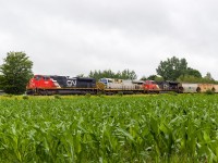 CN 8102 leads potash train 730 through the town of Sussex, New Brunswick on a dreary Saturday morning. Nice to see a different AC power in charge, with ex CREX trailing. July 3, 2021.