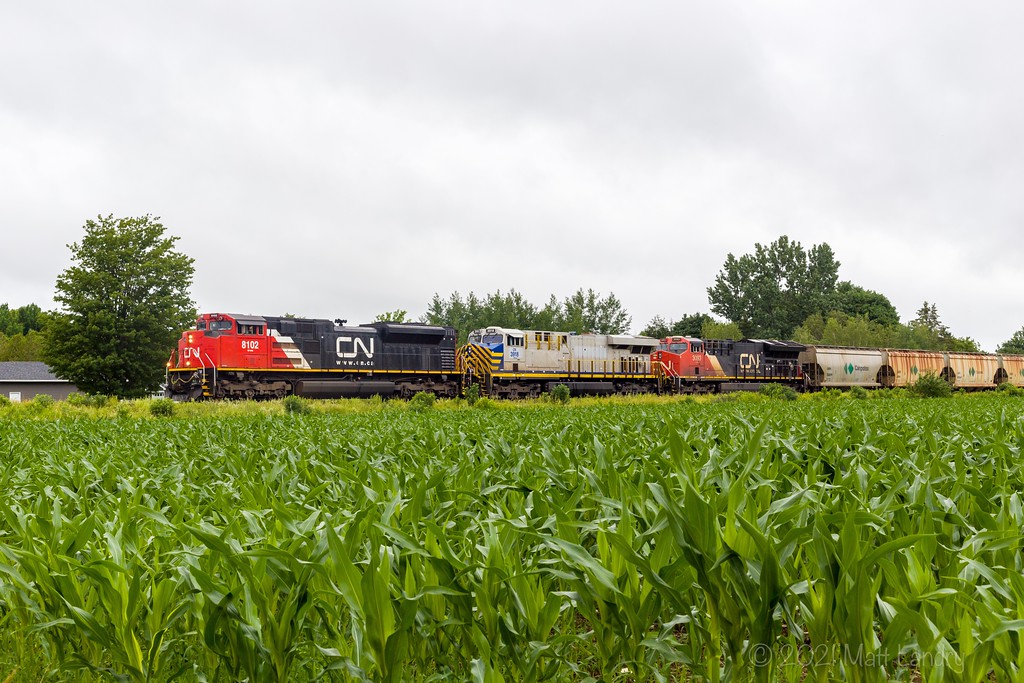 CN 8102 leads potash train 730 through the town of Sussex, New Brunswick on a dreary Saturday morning. Nice to see a different AC power in charge, with ex CREX trailing. July 3, 2021.