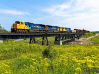 On a very bright and sunny afternoon, with a wave from the Conductor, Northbound 113 makes its way across the 'other' Wabi River bridge.<br>
Led by a triple consist of SD75i's numbered sequentially 2103, 2102, and 2101.<br>
With a field of Wild Parsnip in the foreground.<br><br>
MP 119 Temagami Sub - Harley Twp - July 10