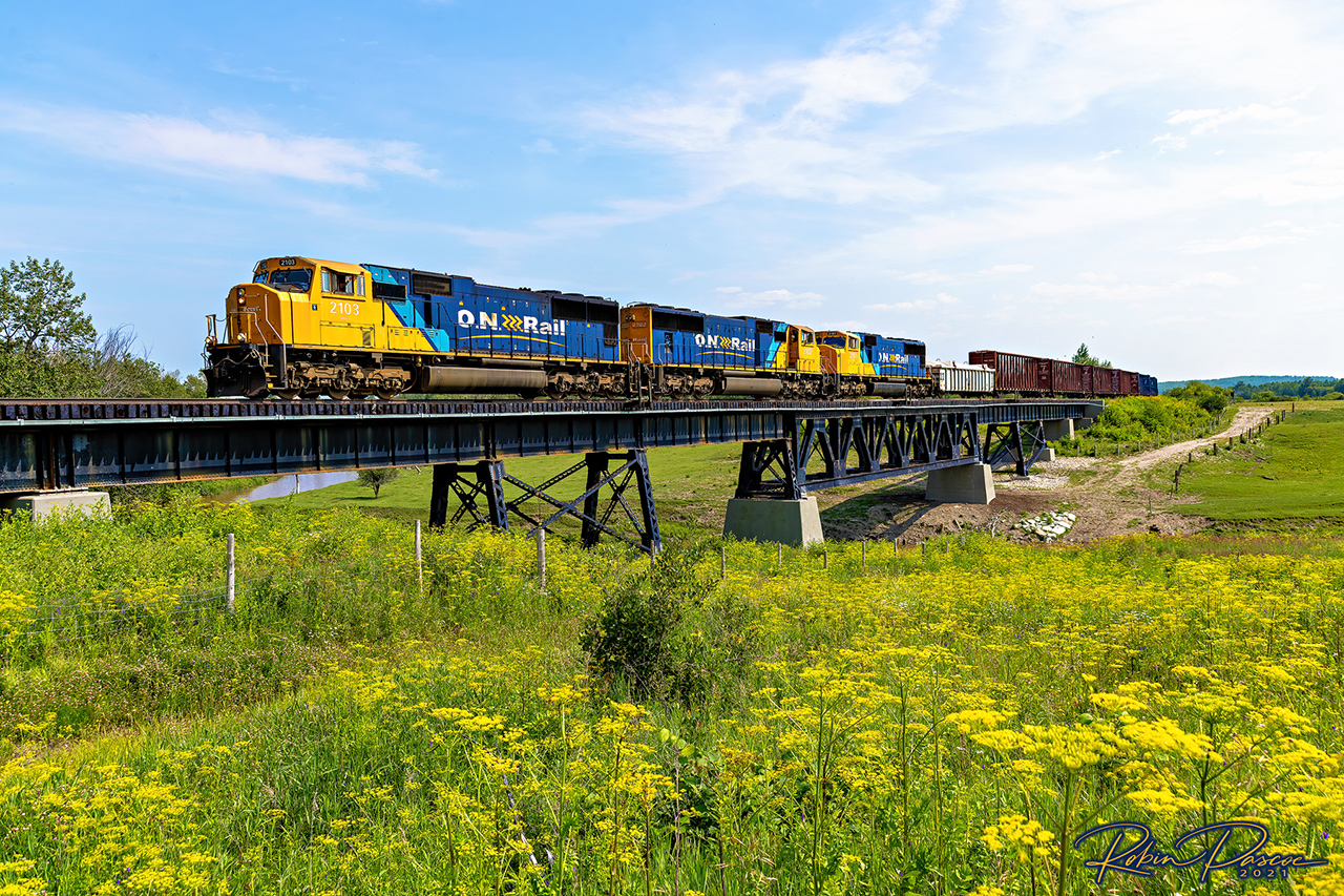 On a very bright and sunny afternoon, with a wave from the Conductor, Northbound 113 makes its way across the 'other' Wabi River bridge.
Led by a triple consist of SD75i's numbered sequentially 2103, 2102, and 2101.
With a field of Wild Parsnip in the foreground.
MP 119 Temagami Sub - Harley Twp - July 10