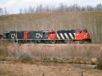 With a controlled glide the 5584 descends the hill from Kerensky with a loaded train and in just a few more car lengths, the valley will roar as the units pass over the Redwater river trestle and start to climb up the other side. Sure looks to be April and pretty confident it is 1987. Shot with a Canon f/4 200mm and 100asa print film.