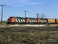 A late return of the Mixed train in daytime (about 8 hours late here) produced a grand opportunity to catch these elephants in sunshine. The tailend cars consisted of Baggage 7855, Coach 5099 and the old NAR Comboose 78966. Photo taken at mile 27.7 at 9:30.