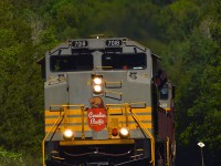 CP 7018 North jumps off the screen and rounds the bend at Carley, ON approaching Medonte and a meet with already clear/waiting train 104, sporting a "Matched Maroon" set of power my father would be proud of, it's not hard to see how our inspirations grew so fond of Tuscan colors!