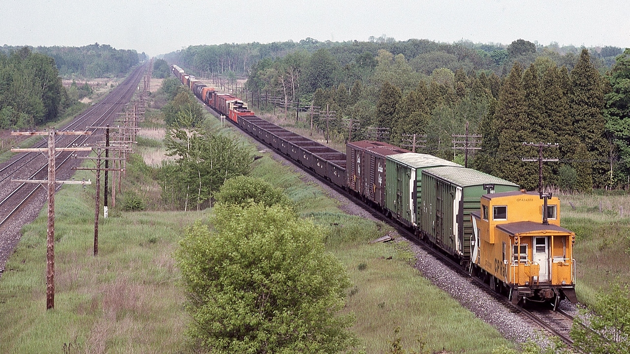 br>

   Powered by SD40-2 #5973 and M636 #4709, CP Rail #916 is clear of Spicer 


   At mile 131 Belleville Subdivision, June 11, 1983 Kodachrome by S.Danko