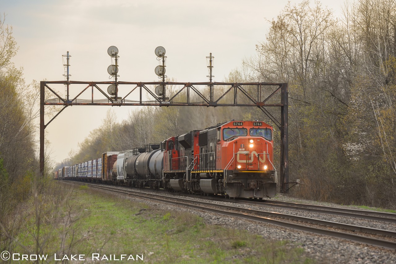 CN 5744 leads an eastbound manifest train past the searchlight signal gantry outside of Cardinal at the start of Summer.