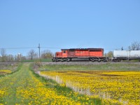 CP 6043 charges West at a blistering 30mph, unlike the year prior, the spray train wasted no time as it worked it's way West, however, not without trouble. After arriving in Windsor, the crew had very little options to wye the train for its run down the Hamilton Sub the following day. No passport meant no going over into Detroit, no permission to use the private wye in Windsor as well. The solution? Well, they decided to run the train back West with the power on the wrong end. London not having a wye, ( I believe the EMD plant has one but still lacking permission to use it ) left Galt and GUE as the two main options, the latter being chosen to wye the train.

Just like anything in life, nothing ever goes to plan, it's all part of the fun. 