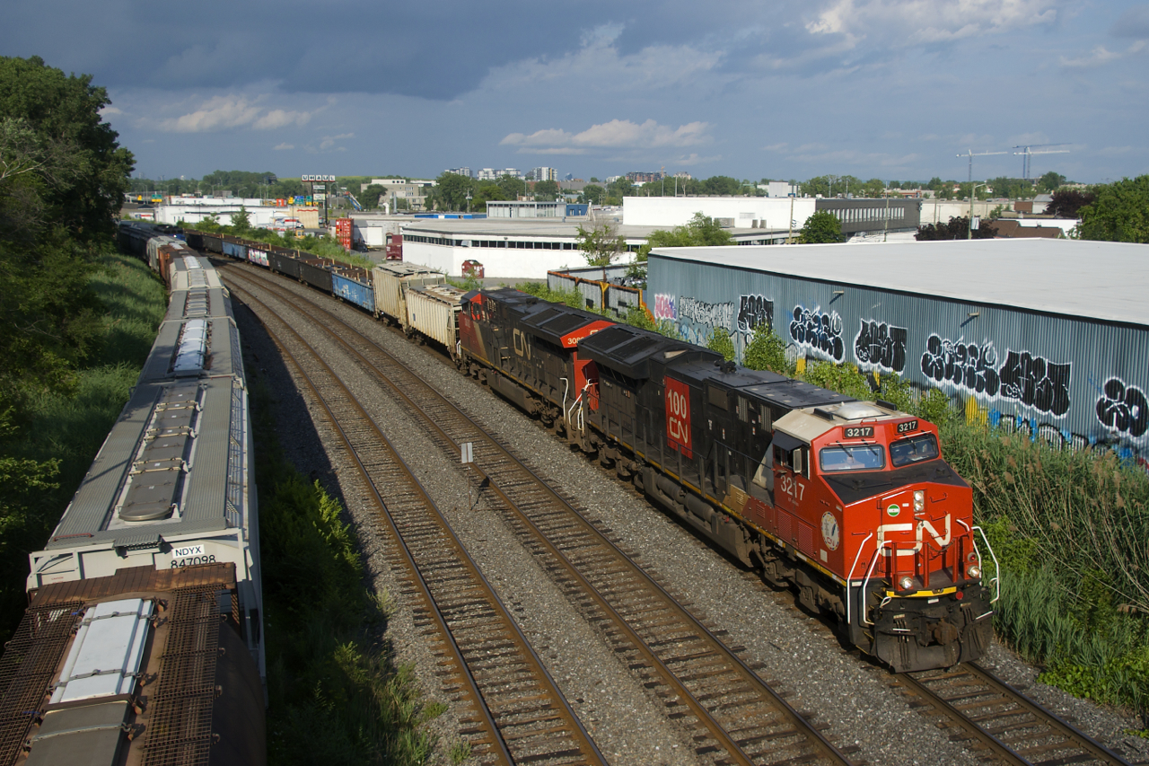 A CN 100 unit leads CN 321 as it passes parked grain cars.