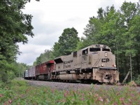 Once again CP7021, painted in its 'desert sand' paint scheme, leads CP 246 out of Guelph Junction on its south bound trip down the Hamilton sub. Its a beautiful location with the wild flowers in full bloom and makes for some nice added colour but between the bumble bees, raspberry canes and the mosquitoes, you will know you have been in there.