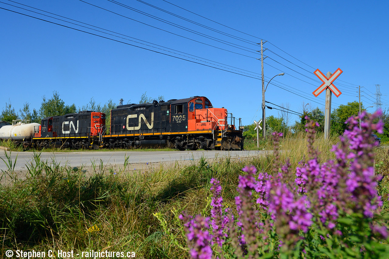 L542 working Traxxside in Guelph with some summer wildflowers blooming.