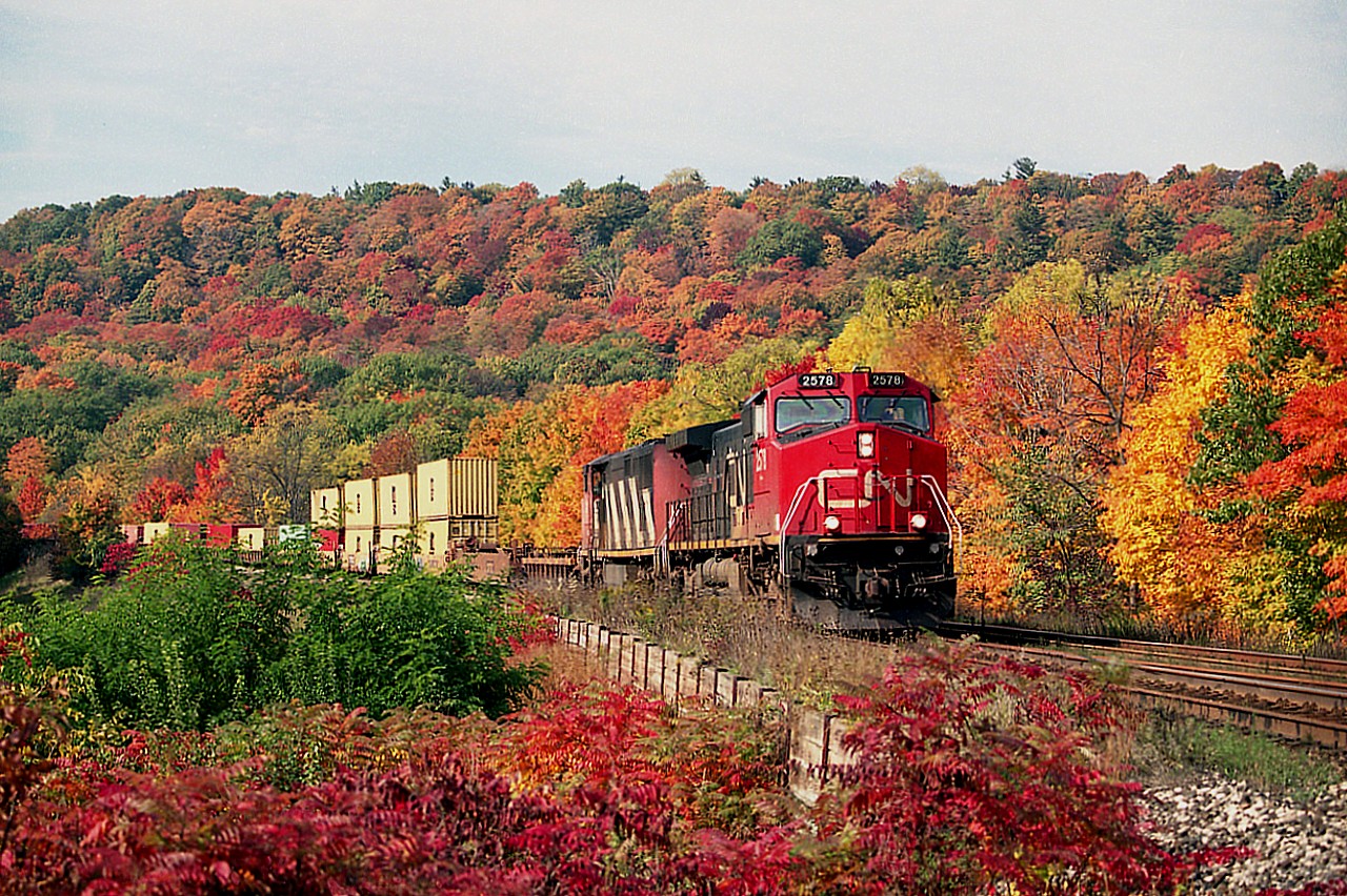 For me, the fall season kicks off at the beginning of September. Psychological, I guess, but what the heck, after Labour Day, summer is 'over'.
So, here is a fall shot.  Taken mid-way thru October; brilliant colours that make the days worthwhile no matter what happens by.  CN #148 behind CN 2578 and 2419 captured drifting down the long Copetown Hill toward mile 2, Dundas Sub.
Overgrown here now. Badly.