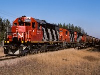 CN 5517 is approaching mile 24.4 with several loads of grain on top of the 30+ sulphur loads further back. Cab 79841 is at the rear. I posted a photo recently of the 5517 from May/85 still in the old CN noodle and black paint. Just over a year later, the new paint is spot on for the sun and blue sky. Taken at approx. 16:00.