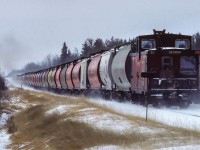 The 4330, 4350 and 4351 have 40 loaded hoppers traveling at a good clip as they return to Edmonton on a -25°C morning. This is the regular crew, they headed out Friday, March 7th, as 584 with 24 hoppers and 4 grain boxes, all empty. Returning as an extra on Saturday, passing through just before lunch typically. This photo is at 11:00 as the train approaches Coronado. Assigned caboose 79836 spent many years going 3 times a week to eastern Alberta and back.