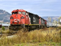 Train no.587 is being assembled at the pellet plant in Lavington prior to departure for Kamloops in the north.