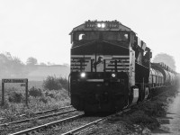 When faced with a foreign leader it is often a good idea to "place the shot" to show that it is out of place or on a line that it normally wouldn't be on.  Here we see CN L501 being lead by NS 8072 as they pass the CN Onondaga Mileboard on their trip to Sarnia from Garnet Ontario.