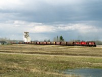 The Prince Albert to Nipawin wayfreight with 3 of the P.A. assigned RS23's pulls up to the east switch at Love to lift loaded grain. Grain moved south from Nipawin on the Tisdale Sub. to avoid axle charge on CN Running rights around Prince Albert. Today short line Torch River Railway operates from Nipawin to Choiceland