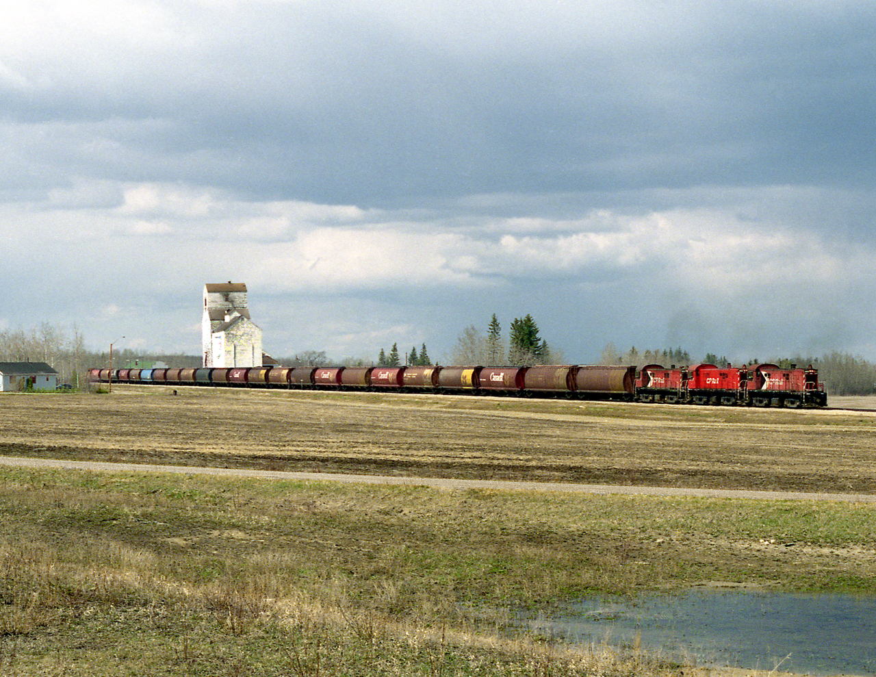 The Prince Albert to Nipawin wayfreight with 3 of the P.A. assigned RS23's pulls up to the east switch at Love to lift loaded grain. Grain moved south from Nipawin on the Tisdale Sub. to avoid axle charge on CN Running rights around Prince Albert. Today short line Torch River Railway operates from Nipawin to Choiceland