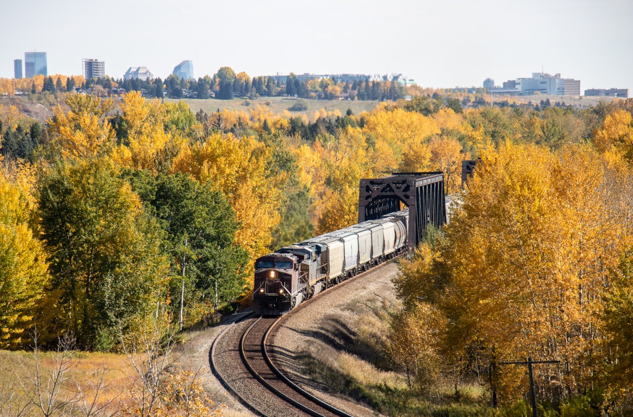 Westbound grain train through the twin bridges in Bowness Calgary. Second unit was CSX. Fall colour does not last too long around here, one wind storm and they will be gone.