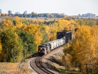 Westbound grain train through the twin bridges in Bowness Calgary. Second unit was CSX. Fall colour does not last too long around here, one wind storm and they will be gone. 