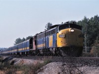 Forty years ago VIA's Super Continental Train #3 approaches Milnet, Ontario on August 1st, 1981.  Power for the train is FP9A 6531, F9B 6617, and CN GP9 4105.  