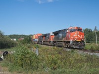 September 19th, 2021 @ 10:27, Z120 at Thomson Station, MP  42.5 CN Springhill sub, 402 axles CN 3265, CN 3273, CN 2990.