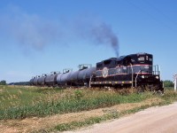 It was a somber day, but originally one that was meant to be a day at Wasaga beach with the family. I had been watching social media for a number of weeks prior anticipating the last Barrie - Collingwood train to Collingwood, but it had been some time since they last served Collingwood. This morning a last minute email changed my plans and sent me on a day long chase of the last ever train to and from Collingwood. Unfortunately it took a while to find the westbound trip so I only caught up with them east of Collingwood, but it was just light power anyway. After picking up Collingwood's mayor the train headed to the last two active customers to lift the last tank cars to ever make a trip over the line. A small celebration at the end of the spur to the last customer marked the special occasion before the slow trip back to the CP interchange at Utopia began. The train made a few stops along the way to take some photos, including stopping at this farmers field outside of Sunnidale before continuing east. Today most of the rails are still in place but are heavily grown over, with many closings paved over or filled in. 