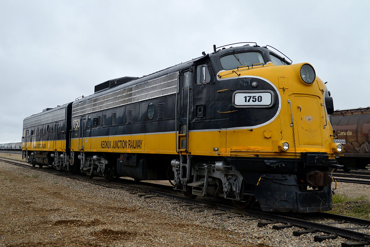 The RCRR (Red Coat Road & Rail) is contracted to be operated by the Great Western Railway in Southern Saskatchewan. There are no locomotives lettered for the RCRR but rather the GWR at Assiniboia. I was rather doubfounded to see F9A and F9B from Keokuk Jct tucked out of sight on the property. The KJRY is one of my favourite shortlines, and I did hear they were talking of giving up the cab units for newer power. But to the GWR??? My only thought is they might be going to work on the Southern Prairie Railway, a tourist line out of Ogema, which operates over the tracks of the RCRR.
I suppose a "welcome back to Canada" is in order.  The 1750 and 1961 worked on the Algoma Central, and toward the end were on the Agawa Canyon Train..........and in VIA service as 6502 and 6613 after initially on CN.
Quite the surprise to see these units, and I have loved their brilliant paint scheme. It will be interesting to see what becomes of them.