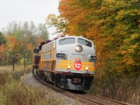 2021.10.08 CP 1401 leading 41B, CP 7019 and CP 1900 trailing, bending the curve at Mile 30 Mactier Sub with a clear signal on approach to South Siding  Switch Palgrave.