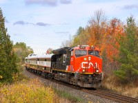 CN 3036 leading CN P90131 23, likely a tour run for new Milton Logistics Hub from Brampton Intermodal Terminal to Bayview Jct and back, following the tail end of CN 397 passing Mile 30 Halton Sub aka. Scotch Block.