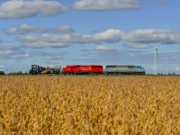 Sun Rays & Soy Beans. A work train lead by CMQ 9011 passes by a farmers field of soybeans just before starting work grading the ballast in Finch. The engines were dropped off in Smiths Falls the previous day from 143.