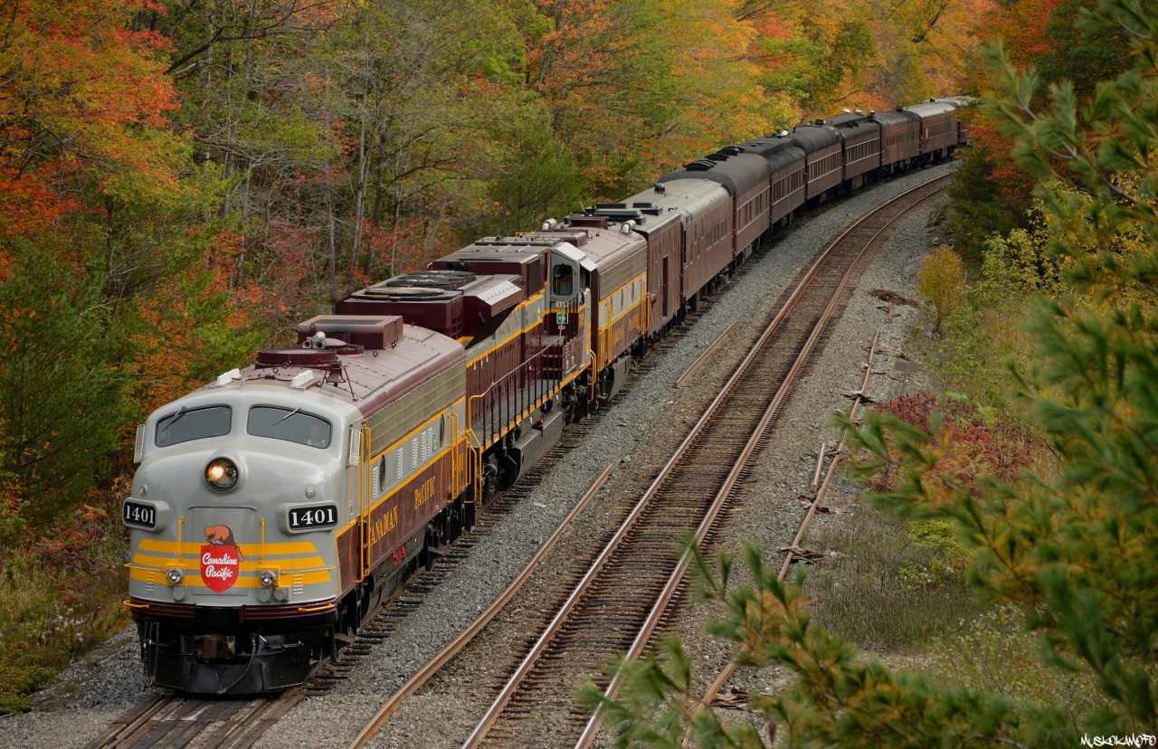 CP 1401 North looks outstanding amongst some early fall colors while waiting in the siding at Bala for 118 and 100, who are both on the move out of MacTier. This 41B is deadheading some "Royal Canadian Pacific" equipment back to Calgary after being used on an executive tour of the Northeast coast.