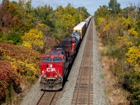 CP 421 coastes out of Toronto yard and down the Belleville sub with a pair of AC4400CWM rebuilds (8005 and 8115) providing power. With the fall colours as dim as they are this fall season, it was nice to get some fall colours. 

On a more disappointing note, in 2018 this consist would have been 9520 and 9602. I sure miss the dual flag AC4400CWs.