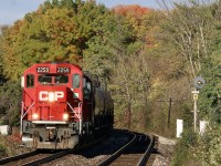 It is no easy task making a city scene look like the country. It is nice that a section of forest still remains trackside in Meadowvale, even if the autumn colours so far are not that impressive. It is also nice that the searchlight signals here protecting the ends of the GO platform have yet to be replaced by newer LED signals. For a few weeks now T14 has been extending its service to Hornby yard, and while the lighting at the platform here rarely works properly, morning shots at least allow the photographer a chance to get nose lit shots. Here T14 is seen returning to Streetsville after working Hornby. The rest of its train was left in Streetsville yard earlier in the morning. 