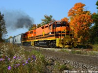 Fall can be a colourful time of year, witness the purple wildflowers and fire-coloured foliage as GEXR 582 heads southward for Guelph Junction.

