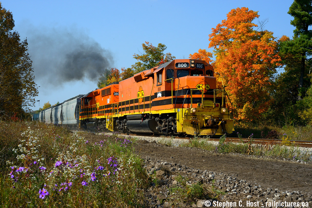 Fall can be a colourful time of year, witness the purple wildflowers and fire-coloured foliage as GEXR 582 heads southward for Guelph Junction.