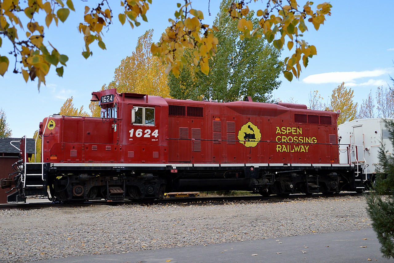 This outfit has evolved into an award winning entertainment destination. Back in 2002 the CP ran its last train along this line. An idea was brought forth on creating a tourist road here, rights from CP were obtained, and in 2015 the Aspen Crossing Railway operated its first tourist train.
Just to the northeast in the village of Mossleigh there lies a long line of old railroad equipment that is hopefully going to be preserved.
Quite the place!! And what better location to view the Aspen Crossing 1624, a former CP locomotive, than from under the Aspen trees?