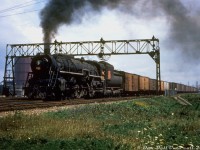 It was mentioned that some of the old steam-era signal bridges in the Union Station Rail Corridor were due to be changed out by Metrolinx soon (late 2021). So here's some steam-era 1950's Toronto Terminals Railway action: Canadian National U3a "Northern" 6303 heads westbound under the signal bridge at Parliament Street subway/viaduct with a long freight in tow, on the approach to Toronto's Union Station downtown. Another signal bridge is visible in the distance at Cherry Street, by the namesake interlocking tower and Don Yard. The train will be diverting to the "High Line" at Scott Street interlocking tower and bypass Union's train shed and inbound tracks. Wooden ice reefers trail on the head end, possibly bound for the icing facilities at Mimico Yard. The round tank-like structure in the background is a gasometer at Consumers Gas Plant A (Parliament & Front), one of three of their coal gas facilities in Toronto.
<br><br>
CN 6303 was one of a handful of Grand Trunk Western 6300-series 4-8-4 Northerns sent north of the border to parent Canadian National (some sources indicate during WW2). Built by Alco at Scenectady NY in July 1927, 6303 would serve out her final years operating out of CN's Mimico Roundhouse alongside CN's own Northerns before being retired at the end of the steam era, and eventually scrapped in July 1961.
<br><br>
<i>Original photographer unknown (duplicate slide), Dan Dell'Unto slide collection.</i>
<br><br>
Some Bill Thomson CN 6300 photos:<br>
CN 6300: <a href=http://www.railpictures.ca/?attachment_id=28667><b>http://www.railpictures.ca/?attachment_id=28667</b></a>
<br>
CN 6301: <a href=http://www.railpictures.ca/?attachment_id=13305><b>http://www.railpictures.ca/?attachment_id=13305</b></a>